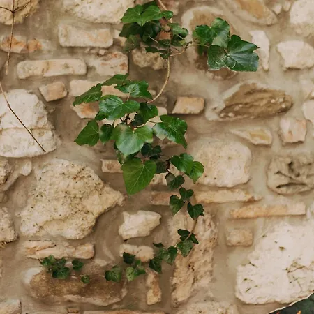 Apartmán Charme In Centro With Private Parking *